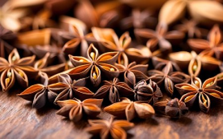 يانسون الفرنسي الشهير تعلم كيف تحضره بنفسك