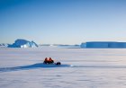 Challenges of survival in harsh polar environments