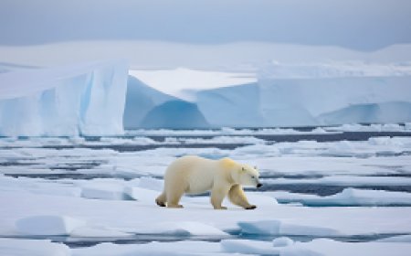 How does wildlife in the polar regions adapt to harsh conditions