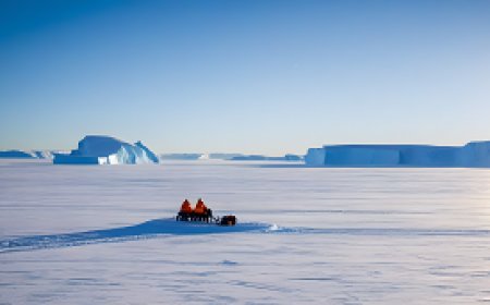 Challenges of survival in harsh polar environments