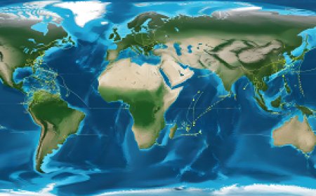 Observing Long-Distance Migration Journeys and Their Impact on Ecological Balance