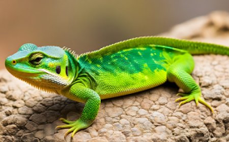 Knowing common diseases in reptiles and preventive measures to maintain their health