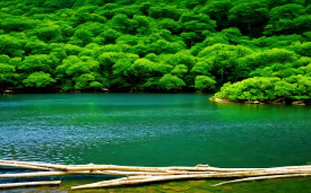 Strategies for Adapting to Environmental Changes