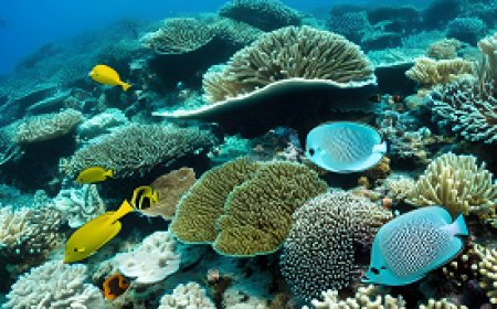 A study on the impact of marine diseases on marine organisms and preventive measures