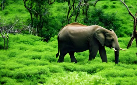 Study of Survival and Adaptation Strategies in Wild Environments