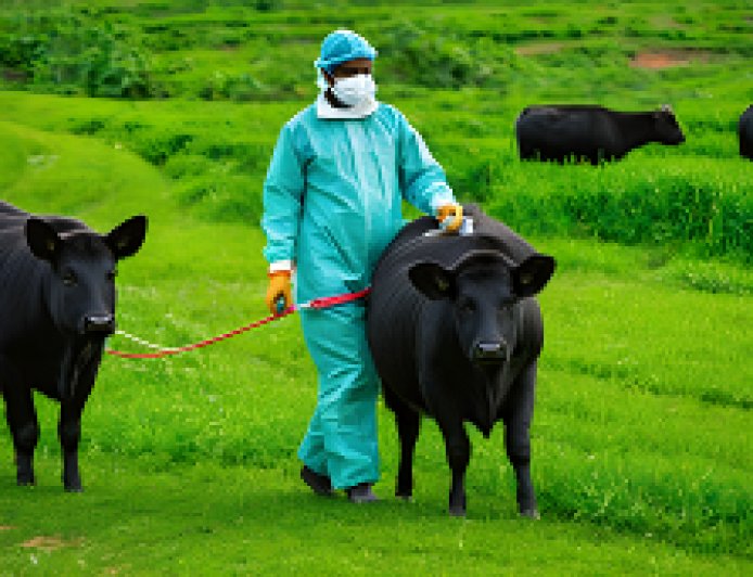 دراسة عن كيفية انتقال الأمراض وسبل الحد من انتشارها