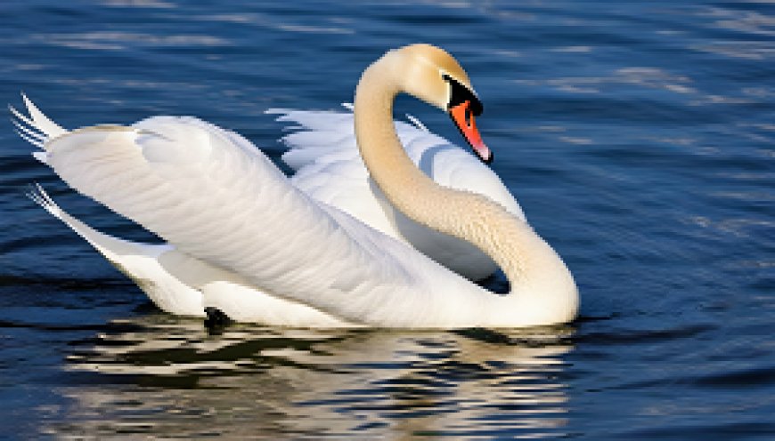 How do swans express their social behavior and communication in their aquatic world