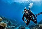 Protective diving attire and its importance underwater