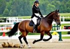 Basic Safety and Protective Equipment in Equestrian Sports