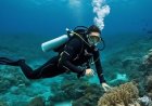 The latest scuba diving equipment and gear underwater