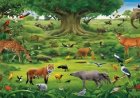 The arrangement of the food chain in wildlife