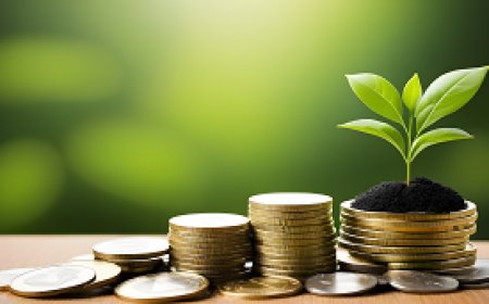 تعظيم العائد من الاستثمارات