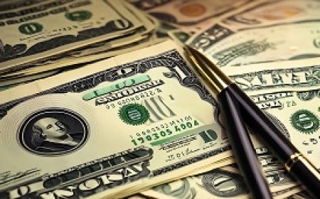 فن إدارة المال بذكاء