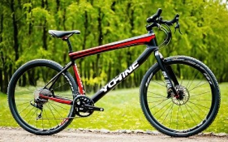 Types of Bicycles Suitable for Competitive Cycling Sports