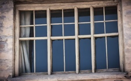 The historical novel: A window to the past