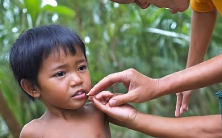 Preventive Measures Against Tropical Diseases