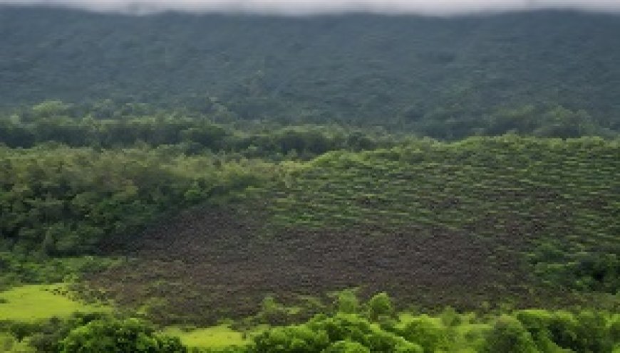 The mass migration of bees and birds