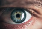 The best foods to promote eye health