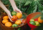 A comprehensive guide to nutrient-rich foods