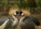 Wonderful places to watch wildlife