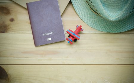 Steps to Apply for a Visa