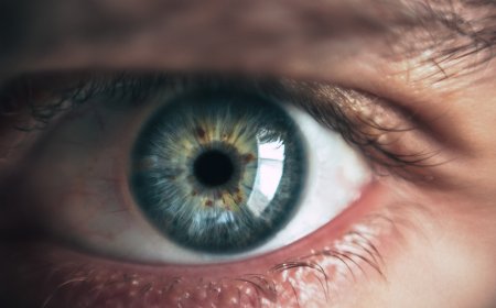 أفضل الأطعمة لتعزيز صحة العين