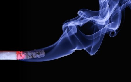 التأثيرات السلبية للتدخين على صحة الإنسان