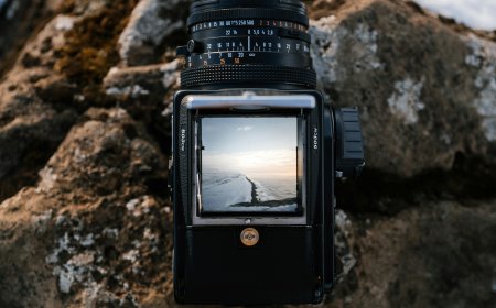 The best photography equipment for capturing nature