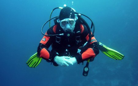 A comprehensive guide to scuba diving