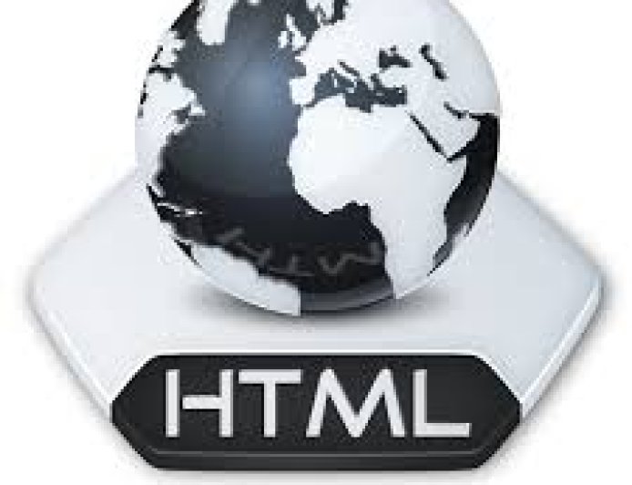 العناصر الأساسية في HTML