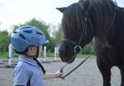 How to choose horse riding equipment