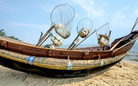 كيفية اختيار معدات الصيد الرياضي