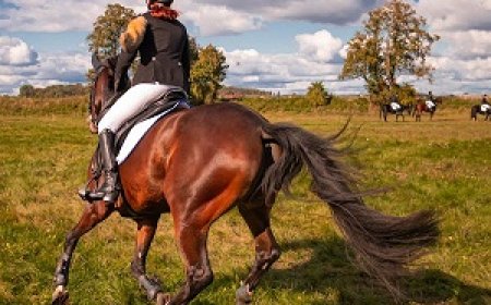 تجربتي الأولى في ركوب الخيل