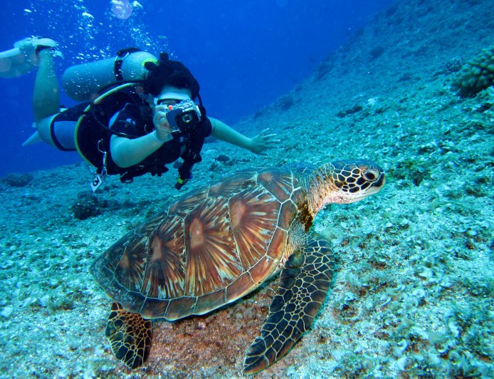 Safety Guidelines for Scuba Diving