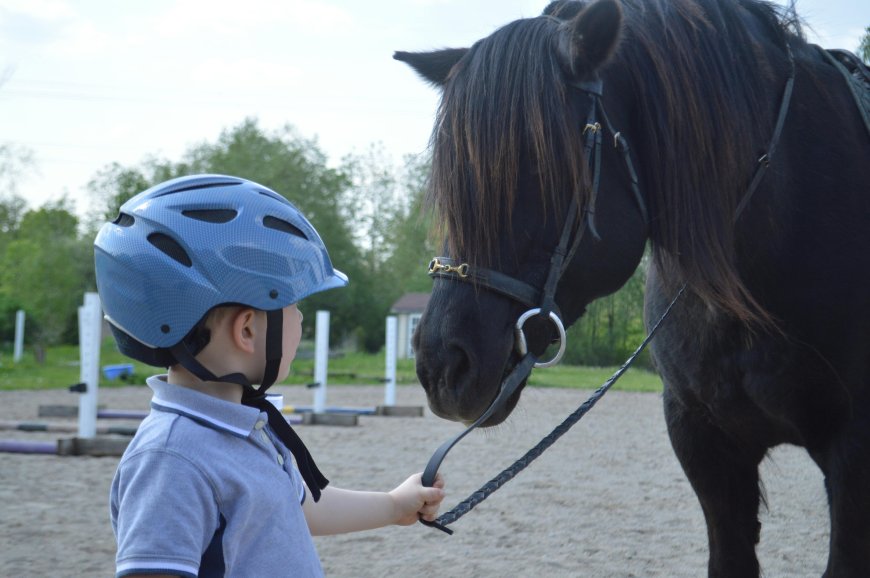 How to choose horse riding equipment