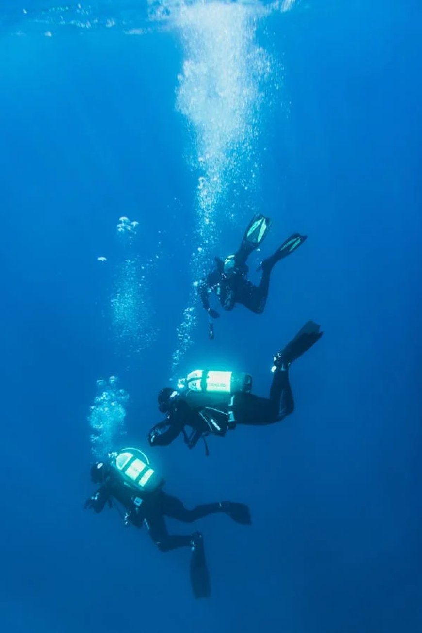 Enjoyable diving trip in the Red Sea