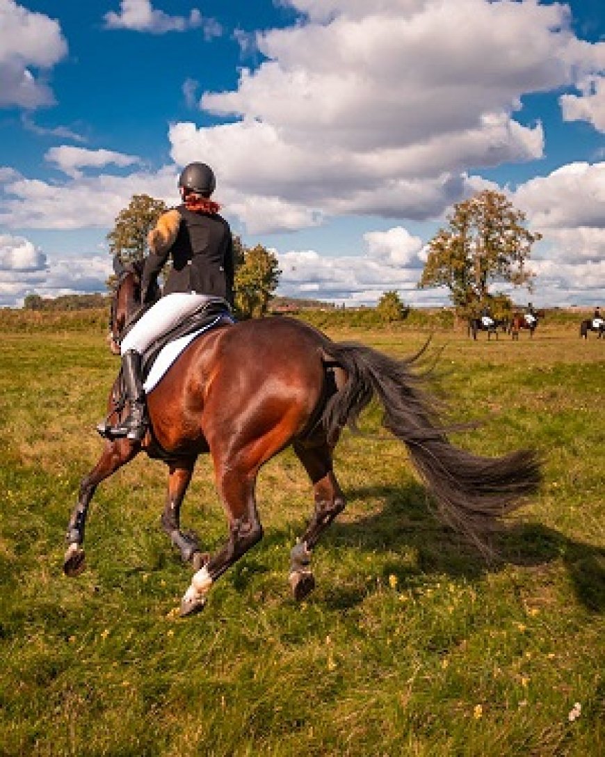 My first experience riding horses